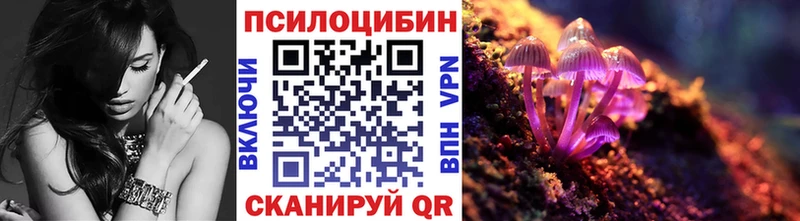 Купить закладки  Дигора  Псилоцибиновые грибы мицелий 