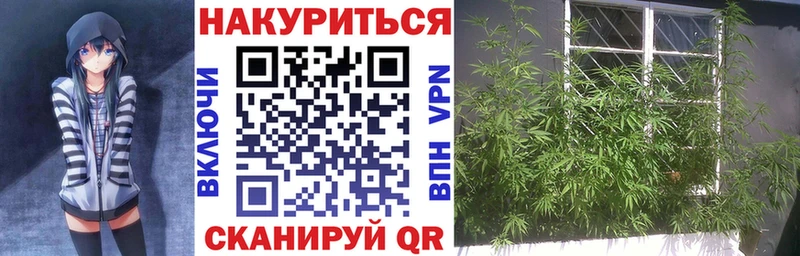 Марихуана семена Дигора