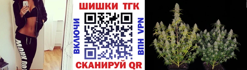 Бошки Шишки гибрид  Купить  Дигора 